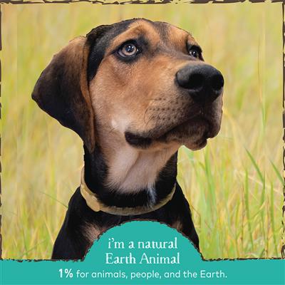 Earth Animal Flea and Tick Collar Small