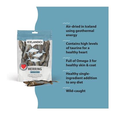 Icelandic Dog Herring Fish Whole