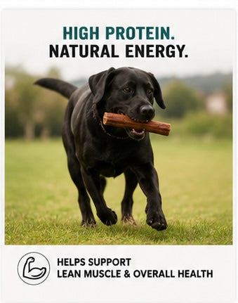 The Doctor’s Dog™ Monster Bully Chews | Single-Ingredient Beef Pizzle Dog Treats