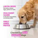 Rawz Dog LID Salmon 3.5LbWild Caught Salmon Dog Food RecipeNo Salmon MealNo PotatoNo Canola OilNo GrainNo Chicken FatMinimally Processed For The Health Of Your Pet.Made With.
